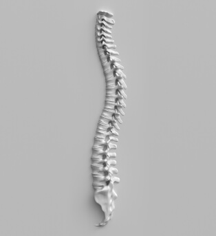 Spine Injections in Libertyville